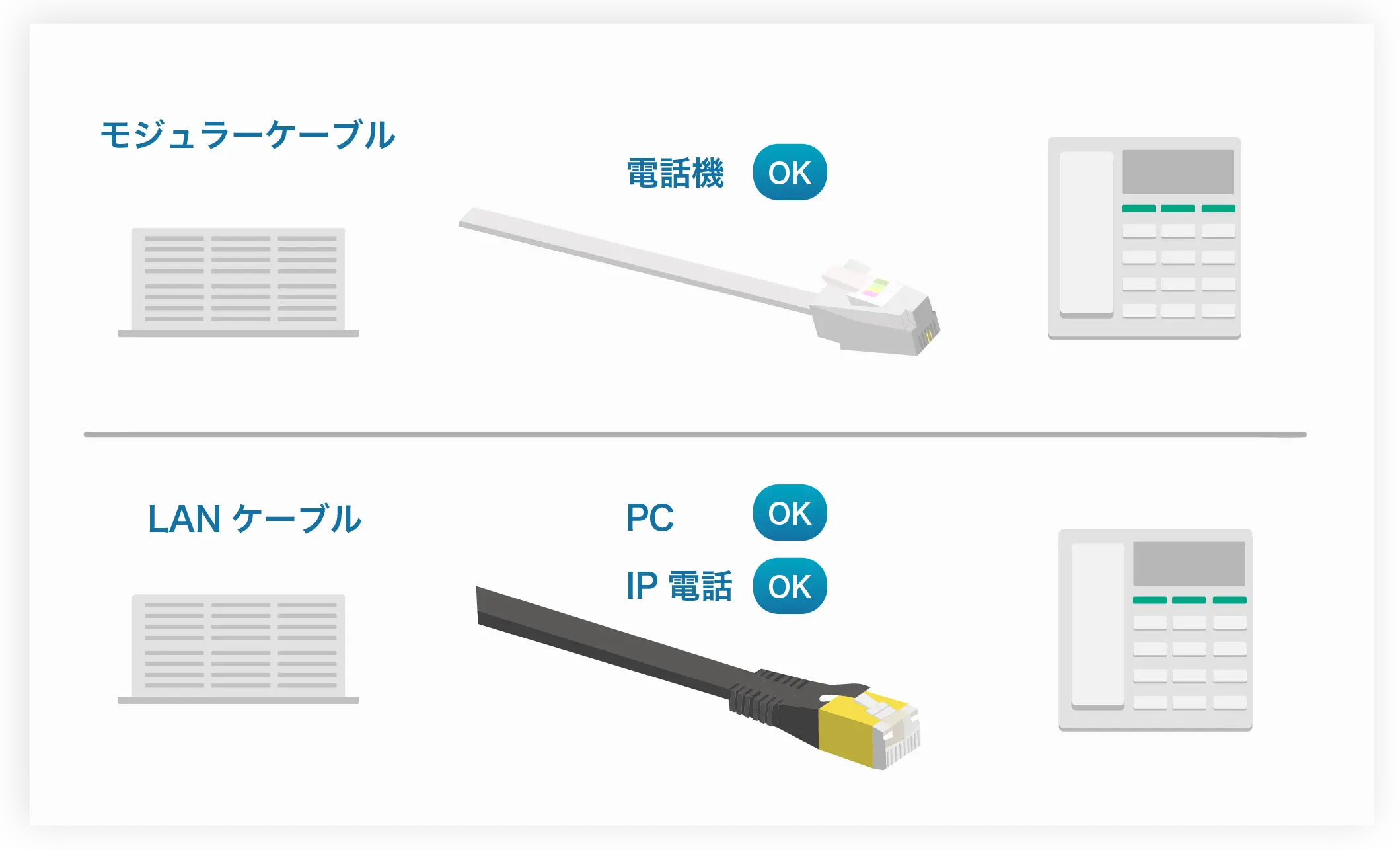 IP画像